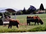 P1000057.JPG