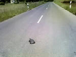 P1000075.JPG
