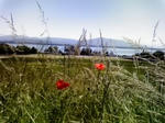 P1000087.JPG