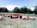 P1000092.JPG