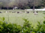 P1000097.JPG