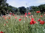P1000131.JPG