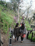 DSC03178.jpg
