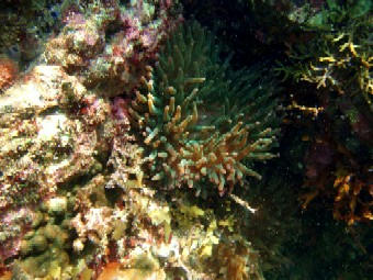 73e47363.JPG
