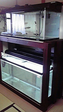 2009112312280000.jpg