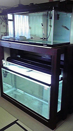 2009112312290000.jpg