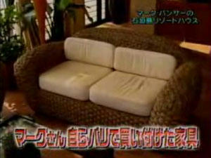 マークパンサー７