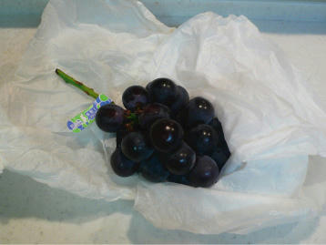 nagano-gift.jpg