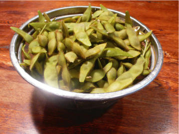 edamame-2.jpg