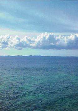 20100719.jpg