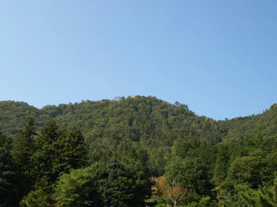 PA190966.JPG