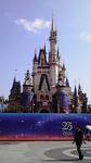 TDL1.jpg
