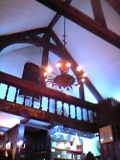 img20070307_t.jpg