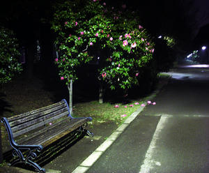 09.jpg