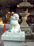 image1.jpg