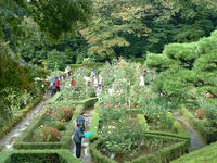 hurukawa