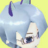 12611781.jpeg