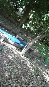 2010071914100000.jpg
