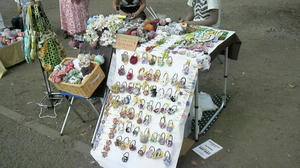 2010072513070000.jpg