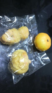 2010101121470000.jpg