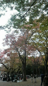 2010111415390000.jpg