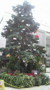 2010111415350000.jpg