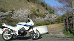 200904091543001.jpg