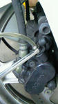 NEC_0092.JPG