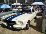 DSC00372.JPG