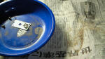 d42010cc.JPG