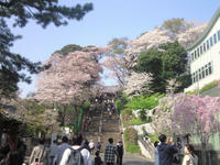NEC_0065.jpg