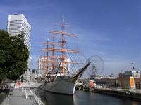 RIMG0009.jpg