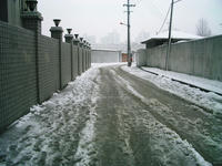 雪模様①