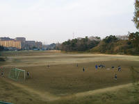 東京大学総合運動場