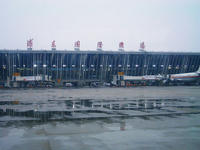 浦東国際空港