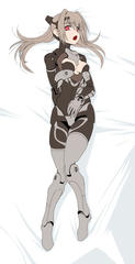 ach_dakimakura_test.jpg