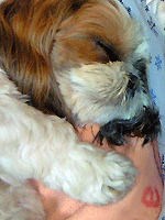 200806112322000.gif