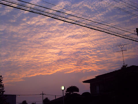 20090602.jpg