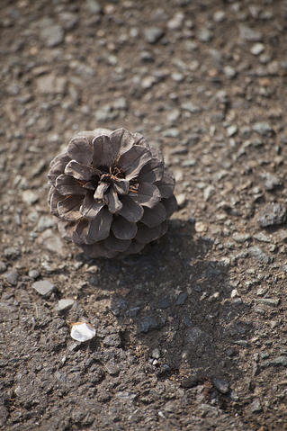 2011041003.jpg