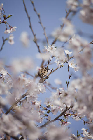 2011041004.jpg