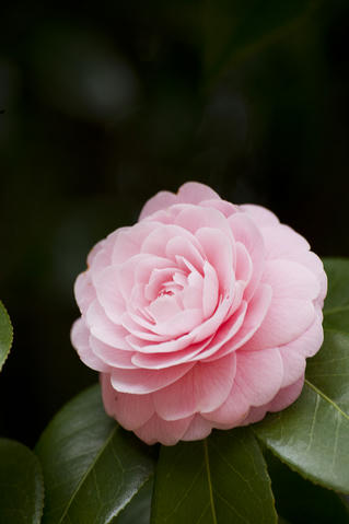 2011041006.jpg