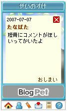 seinosuke01.JPG