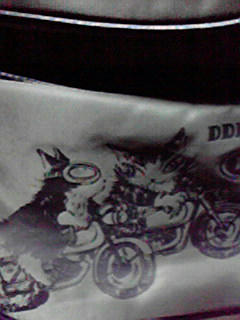 2008063020500000.jpg