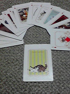 2008063021510000.jpg