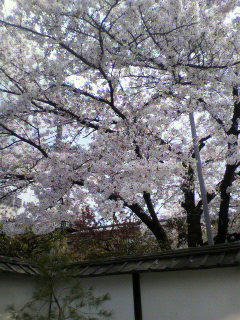 2011041114010001.jpg