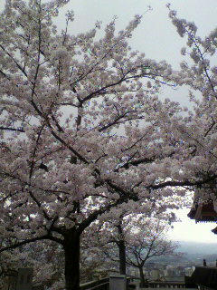 2011041115320000.jpg