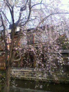 2011041117040000.jpg