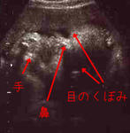 img021.jpg