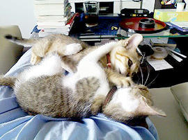 PA0_0093.jpg