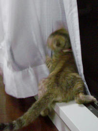 IMGP6448.jpg